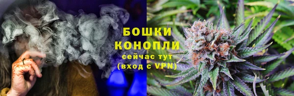 дурь Алзамай