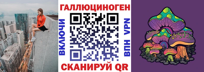 продажа наркотиков  Жиздра  МЕГА рабочий сайт  Галлюциногенные грибы Cubensis 